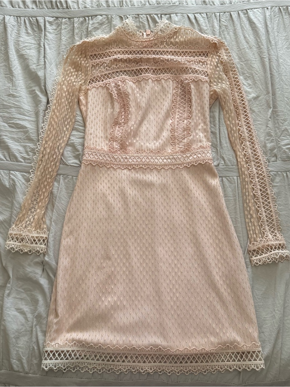 Bebe Blush Lace Mini Dress